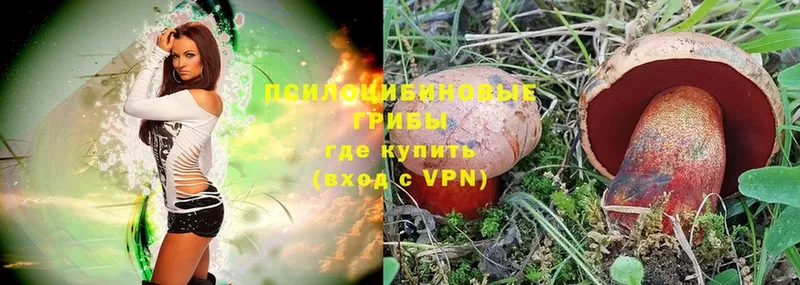 Галлюциногенные грибы Magic Shrooms  Анжеро-Судженск 